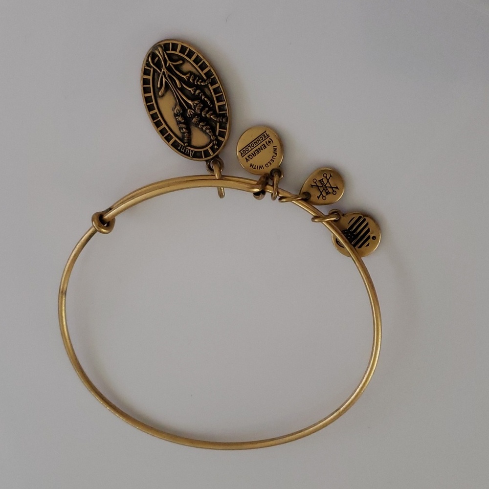 Alex and Ani Because I love you "Aunt" Bracelet w/Lavender Charm Bangle